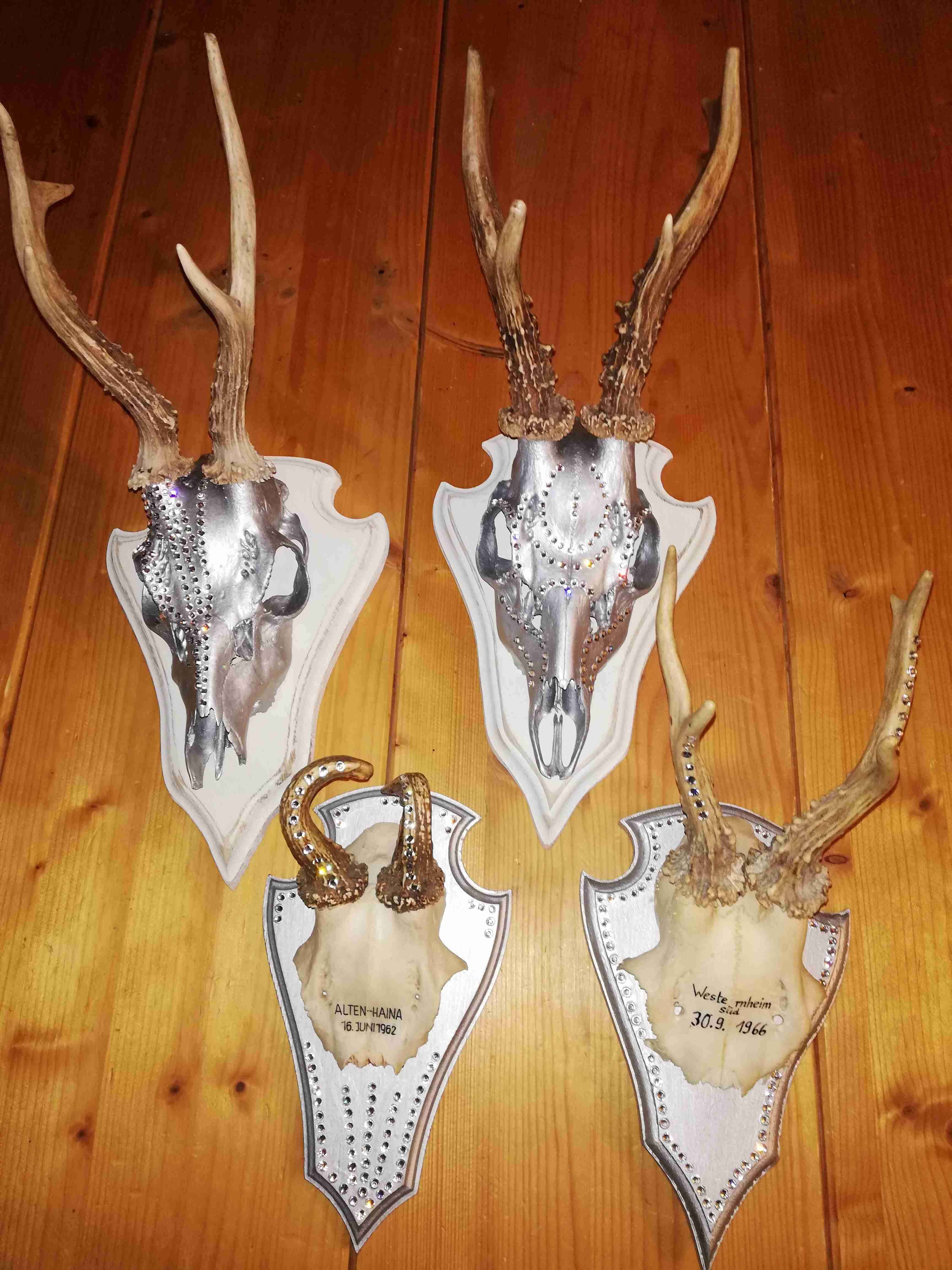 PW27 Treibholz Deko Strass Geweih