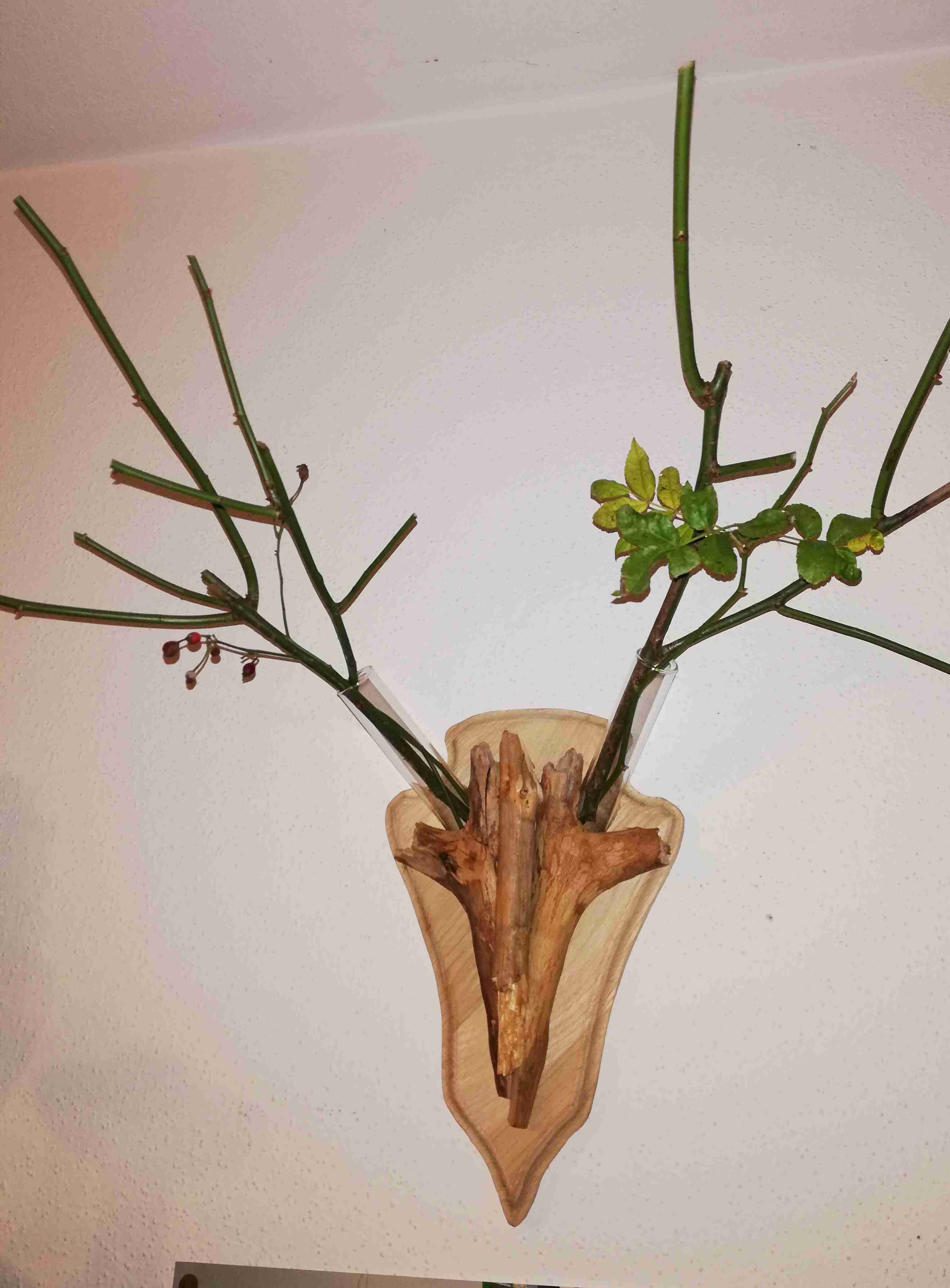 PW27 Treibholz Deko veganes Geweih